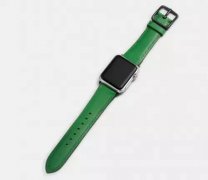 按照老例苹果每年城市推出一次AppleWatch全新配色